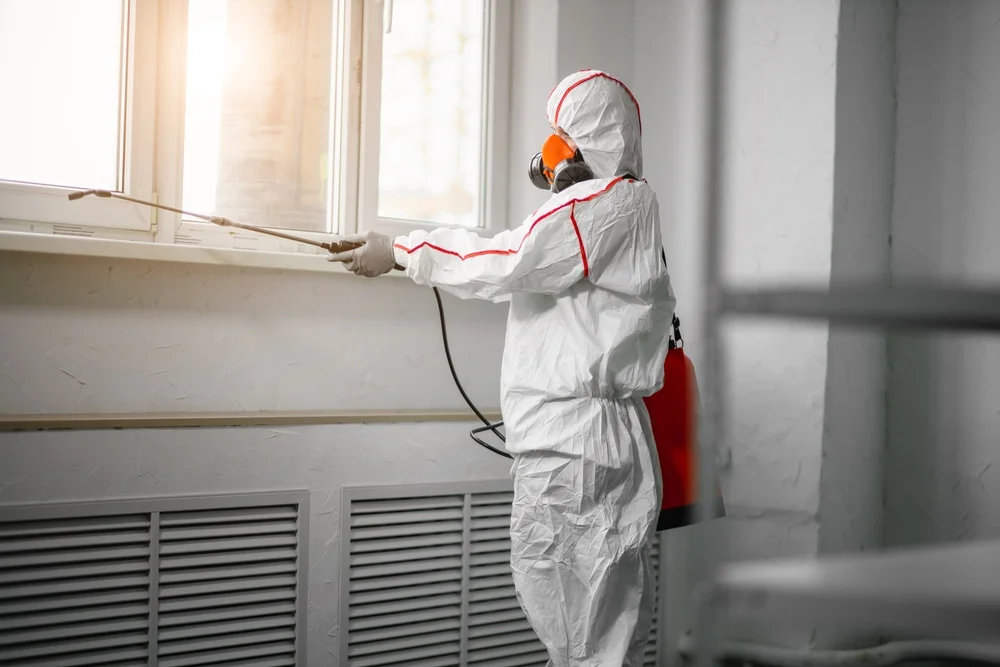 Professional mold remediation services in Salem, CT